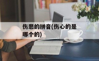 伤悲的拼音(伤心的是哪个的)
