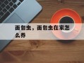 面包虫，面包虫在家怎么养