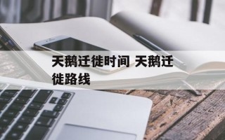 天鹅迁徙时间 天鹅迁徙路线