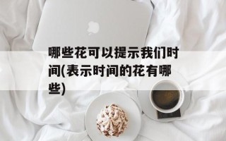 哪些花可以提示我们时间(表示时间的花有哪些)