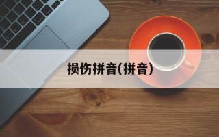 损伤拼音(拼音)