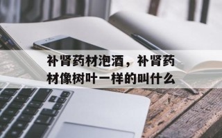 补肾药材泡酒，补肾药材像树叶一样的叫什么