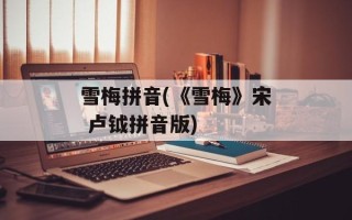 雪梅拼音(《雪梅》宋 卢钺拼音版)