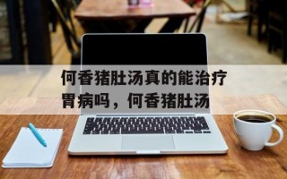 何香猪肚汤真的能治疗胃病吗，何香猪肚汤