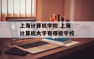上海计算机学院 上海计算机大学有哪些学校