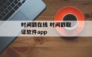 时间戳在线 时间戳取证软件app