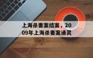 上海杀妻案结案，2009年上海杀妻案通灵