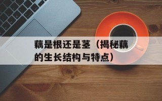 藕是根还是茎（揭秘藕的生长结构与特点）