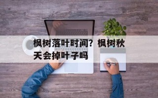 枫树落叶时间？枫树秋天会掉叶子吗