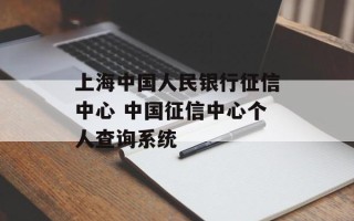 上海中国人民银行征信中心 中国征信中心个人查询系统