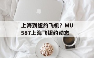 上海到纽约飞机？MU587上海飞纽约动态