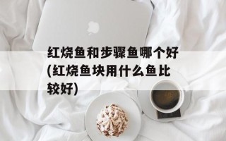 红烧鱼和步骤鱼哪个好(红烧鱼块用什么鱼比较好)