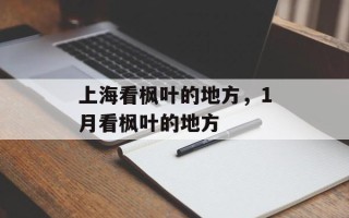 上海看枫叶的地方，1月看枫叶的地方