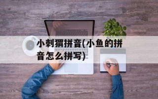 小刺猬拼音(小鱼的拼音怎么拼写)