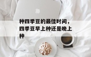 种四季豆的最佳时间，四季豆早上种还是晚上种