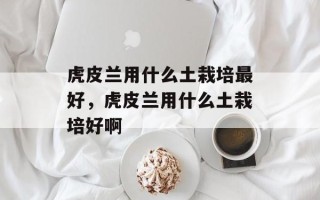 虎皮兰用什么土栽培最好，虎皮兰用什么土栽培好啊