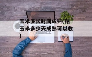 玉米多长时间成熟(粘玉米多少天成熟可以收)