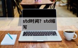std时间？std缩写