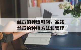 丝瓜的种植时间，盆栽丝瓜的种植方法和管理