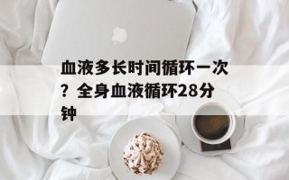 血液多长时间循环一次？全身血液循环28分钟