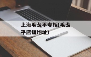 上海毛戈平专柜(毛戈平店铺地址)