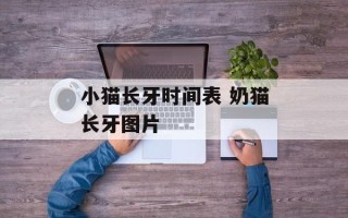 小猫长牙时间表 奶猫长牙图片