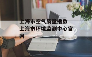 上海市空气质量指数 上海市环境监测中心官网