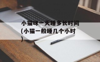 小猫咪一天睡多长时间(小猫一般睡几个小时)