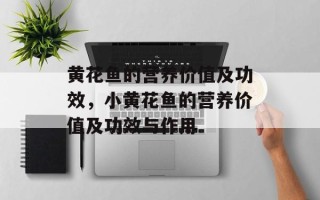 黄花鱼的营养价值及功效，小黄花鱼的营养价值及功效与作用