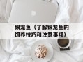 银龙鱼（了解银龙鱼的饲养技巧和注意事项）