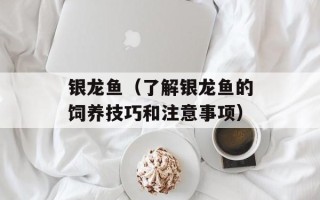 银龙鱼（了解银龙鱼的饲养技巧和注意事项）