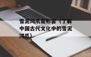 雪泥鸿爪是形容（了解中国古代文化中的雪泥鸿爪）