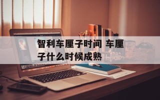 智利车厘子时间 车厘子什么时候成熟