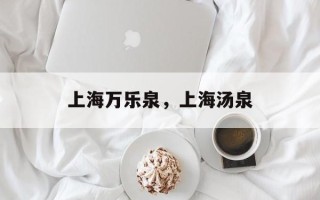 上海万乐泉，上海汤泉