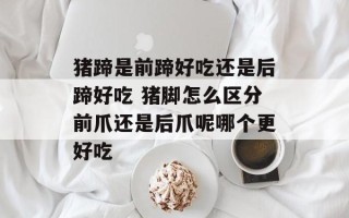 猪蹄是前蹄好吃还是后蹄好吃 猪脚怎么区分前爪还是后爪呢哪个更好吃