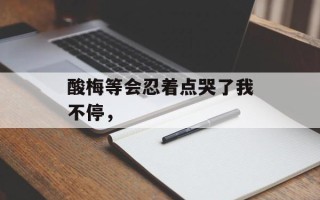 酸梅等会忍着点哭了我不停，