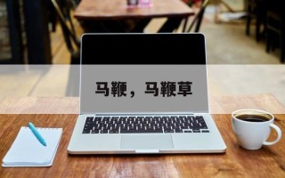 马鞭，马鞭草