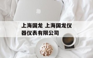 上海国龙 上海国龙仪器仪表有限公司