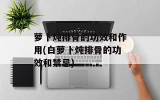 萝卜炖排骨的功效和作用(白萝卜炖排骨的功效和禁忌)