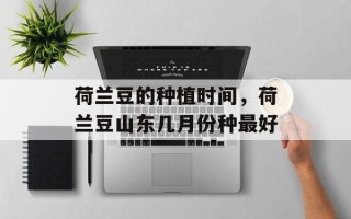 荷兰豆的种植时间，荷兰豆山东几月份种最好