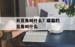 长豆角叫什么？扁扁的豆角叫什么