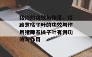 猪蹄的功效与作用，猪蹄煮橘子叶的功效与作用猪蹄煮橘子叶有何功效与作用