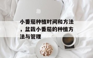 小番茄种植时间和方法，盆栽小番茄的种植方法与管理