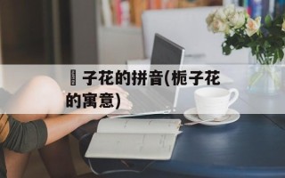枙子花的拼音(栀子花的寓意)