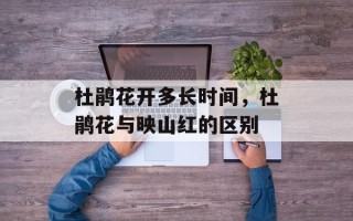 杜鹃花开多长时间，杜鹃花与映山红的区别