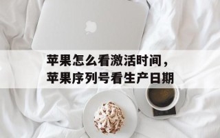 苹果怎么看激活时间，苹果序列号看生产日期