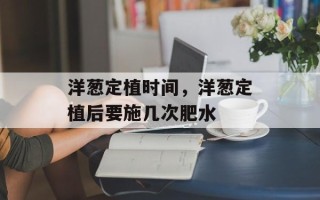 洋葱定植时间，洋葱定植后要施几次肥水