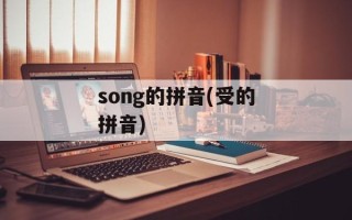 song的拼音(受的拼音)