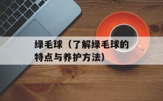 绿毛球（了解绿毛球的特点与养护方法）
