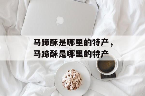马蹄酥是哪里的特产，马蹄酥是哪里的特产-第1张图片-